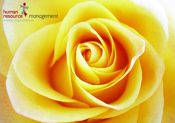 Poster_gelbe Rose.jpg