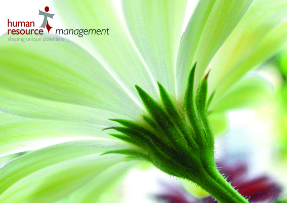 Poster_gruene Blume.jpg